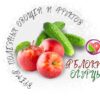 Время полезных овощей и фруктов
